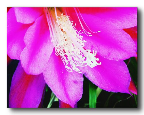 CYMERA_20130713_230156.jpg image